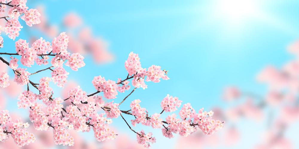 群优朋科技